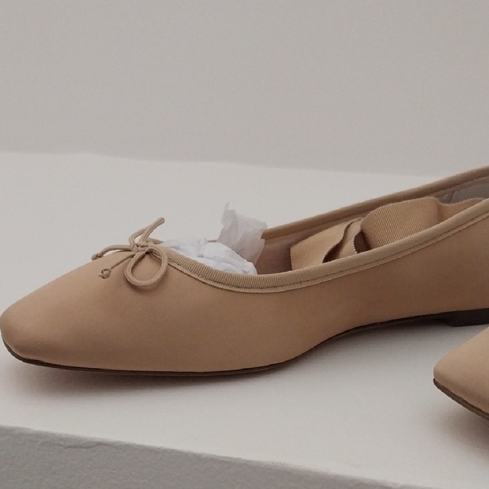 J. Crew Ballet Flats With Ribbon Ties.  Sz. 9.5M   New In Box.